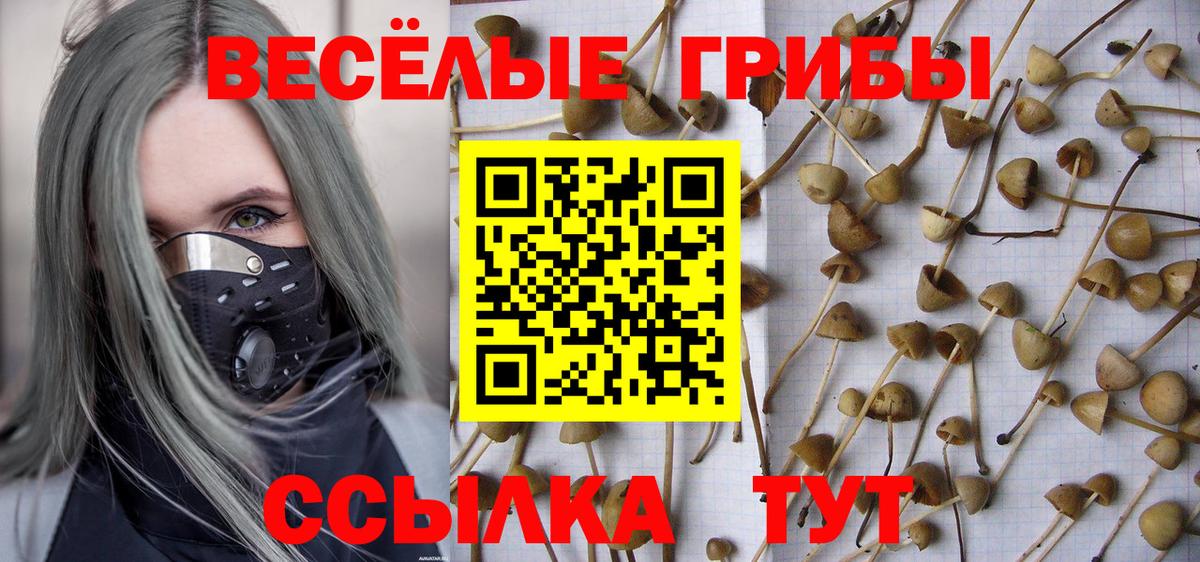 Псилоцибиновые грибы Cubensis  Вход с VPN  Лесной  Галлюциногенные грибы мухоморы 